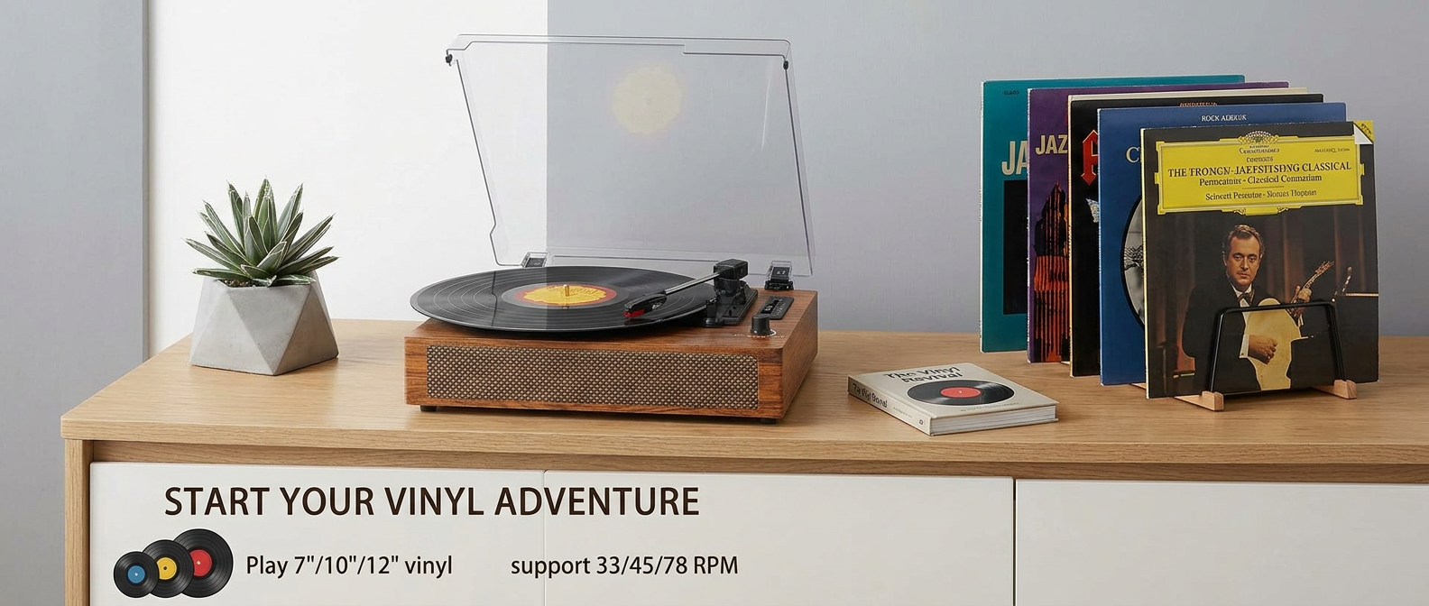 Amazon.com: Vinyl Record Player with Built-in Bluetooth, USB
